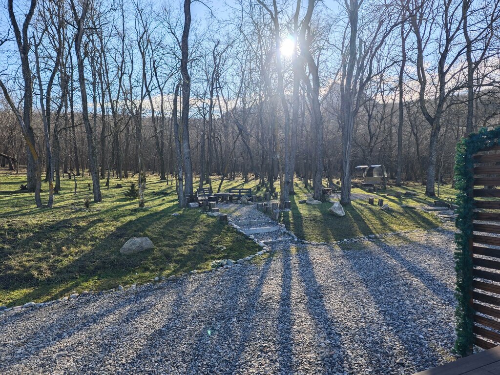 Лесной уголок