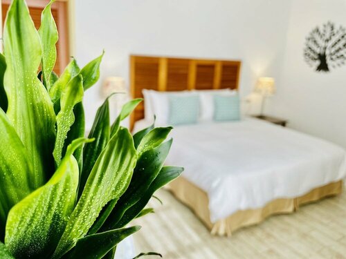 SpoonDrift Hostal Kenting, Забронировать Гостевой дом Отели Наньвань с парковкой, рядом с Залив Саут-Бэй в Пиндун, Парковка