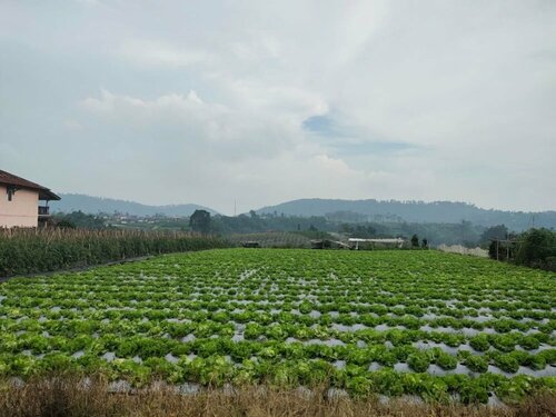 Villa Lembang Bunda, Rezervasyon Villa West Java otoparklı oteller, Otopark