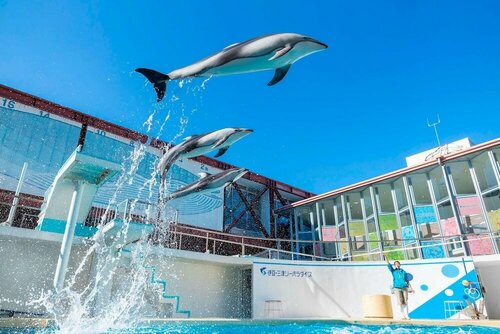 Hotel Trend Numazu Ekimae, Забронировать Отель Недорогие отели Токая, недорого