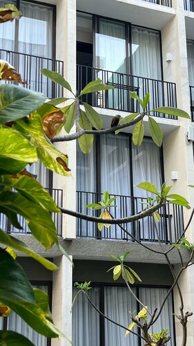 Hotel Terrace at Kuta, Book Hotel Legian Badung