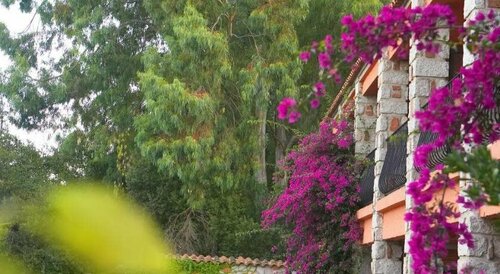 Hotel Shegara, Забронировать Отель Порто-Веккьо South Corsica