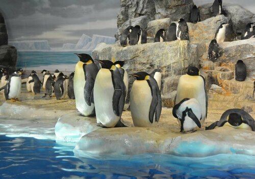 GOLD STAY Nagoya Sakae ゴールドステイ名古屋栄, Забронировать Апарт-отель Нагоя Айти, рядом с Торгово-офисный комплекс Надия-Парк