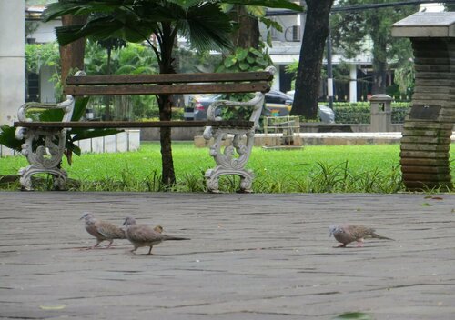 favehotel Kelapa Gading, Prenota Hotel Hotel a Giacarta con parcheggio, Parcheggio