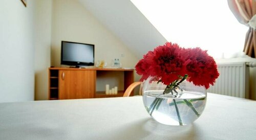 Hotel Daria, Prenota Hotel Tychy 