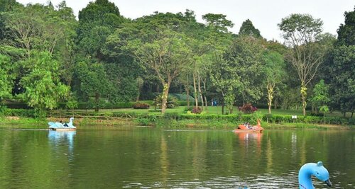 Goldfinch Hotel Mangalore, Prenota Hotel Hotel a Karnataka con piscina, Piscina