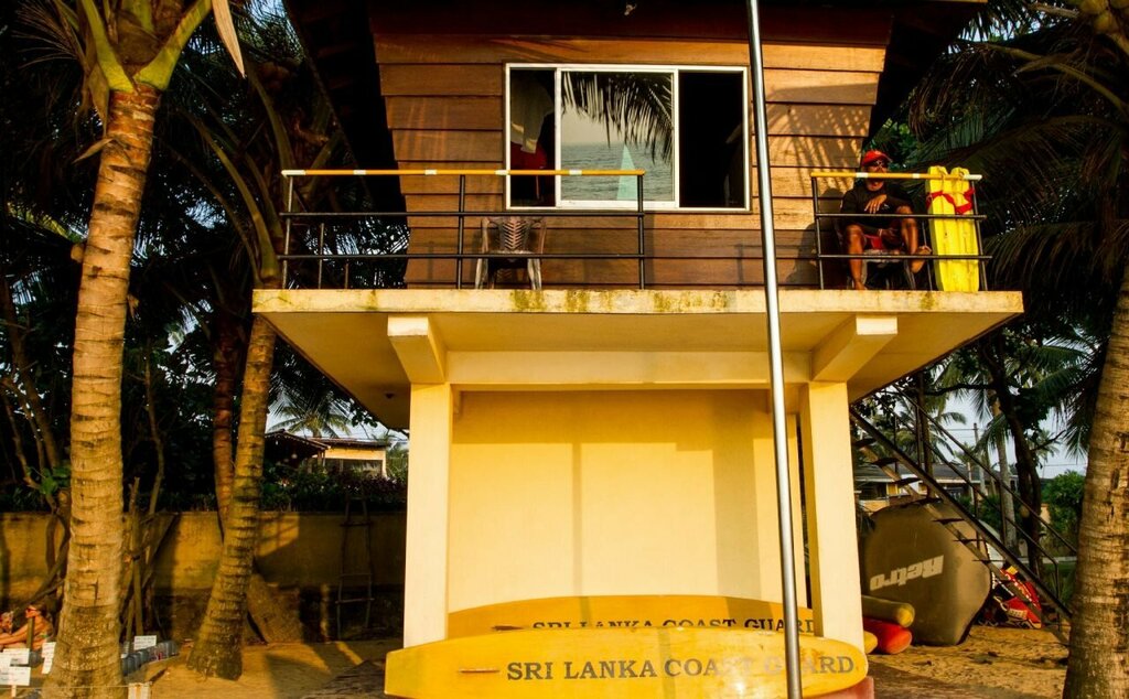 Lazy Koala Hostel - Adults Only