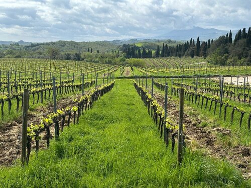 Precise Tale Poggio Alla Sala, Забронировать Курортный отель Отели Val di Chiana с питанием, Пансион