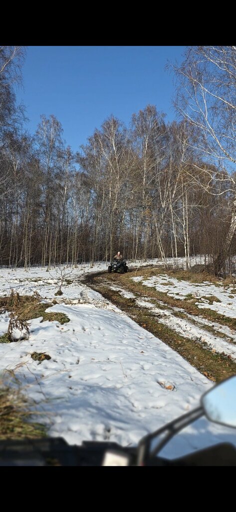 ПроЛес