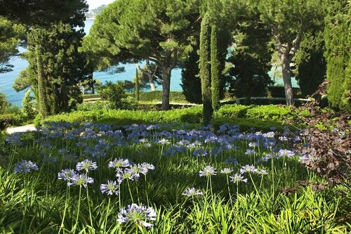 Hotel Caribe, Book Hotel Lloret de Mar Costa Brava