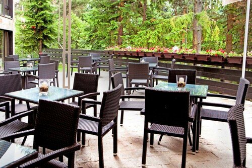 Lion Hotel Borovets, Book Hotel Hotels in Sofia with Breakfast, Breakfasts