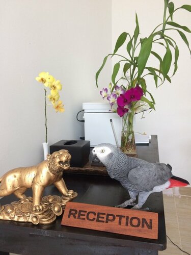 Sun Leo Hotel, Забронировать Отель Сиануквиль 