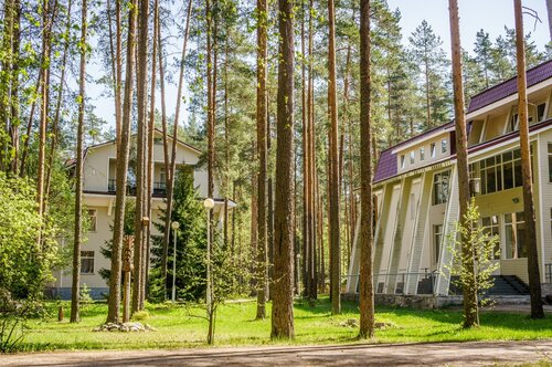 Raivola hotel, Boek Hotel Rosjtsjino Viborgskiy rayon