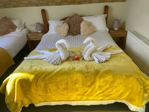 Aquarius B&B, Prenota Bed & breakfast Newquay Cornovaglia