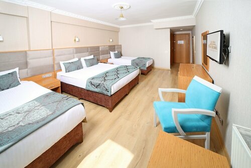 Istanbul Panorama Hotel, Забронировать Отель Зейтинбурну Стамбул