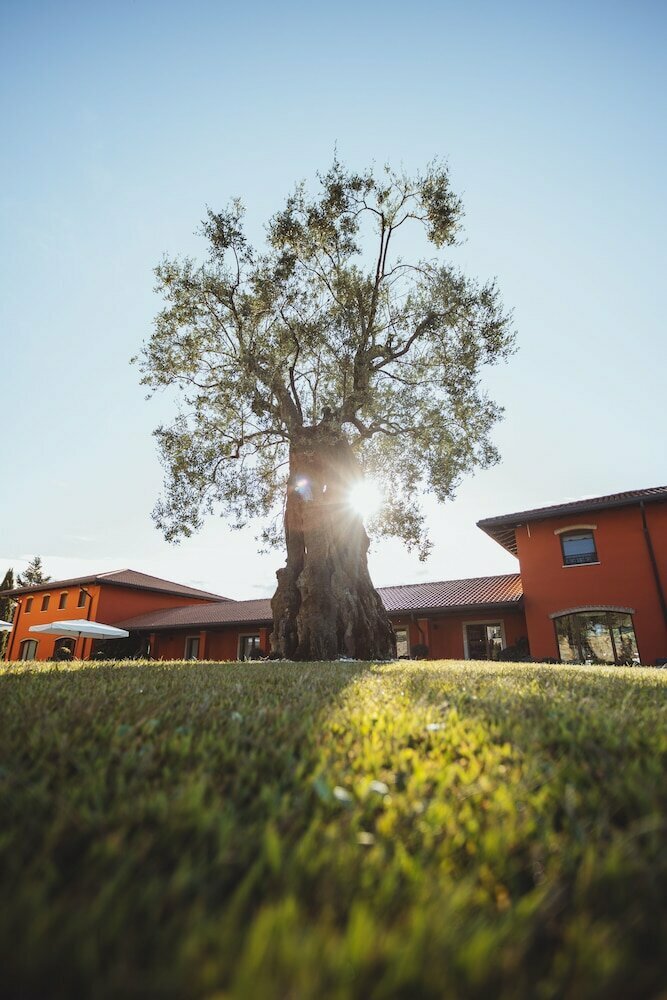 Il Roncal Wine Resort