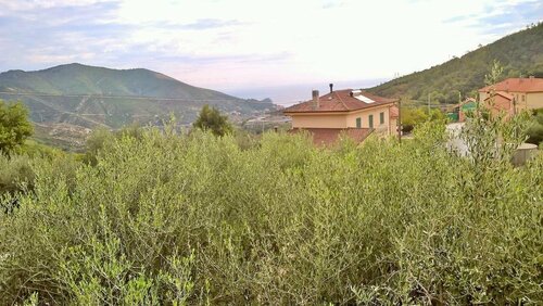 B&B Elfo degli Ulivi, Buchen Sie Hotel Noli Palmenriviera