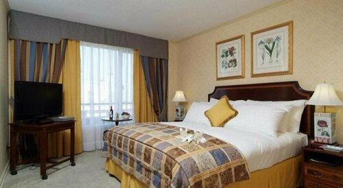 Park Plaza Santiago, Book Hotel Hotels in Santiago with a Pool, Swimming Pool