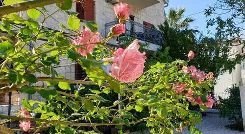 Villa Sandra Hvar, Забронировать Вилла Виллы Острова Хвара, Вилла