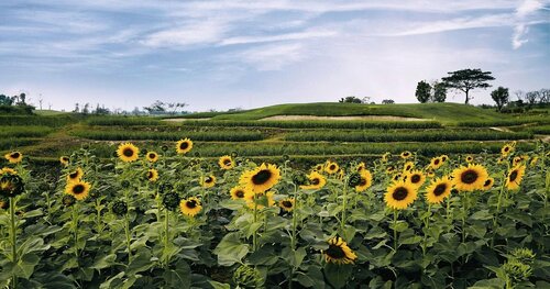 Alpine Golf Resort Chiang Mai, Забронировать Отель Отели Северного Таиланда 4 звезды, 4*