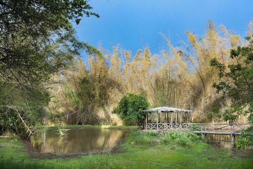 Jungle Hut Resort, Забронировать Курортный отель Отели Масинагуди с парковкой, Парковка