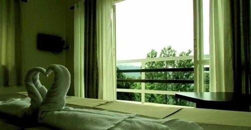 Green Trees Munnar, Book Hotel Anachal New Delhi