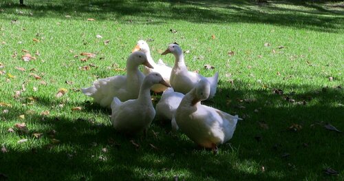 Budmarsh Country Lodge, Buchen Sie Hotel Magaliesberg West Rand