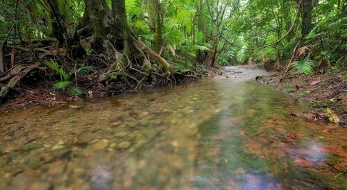 Daintree Peaks ECO Stays, Boek Hotel Diwan Daintree