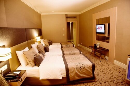 Darkhill Hotel, Забронировать Отель Отели Стамбула с питанием, рядом с Мечеть Фатих, Пансион