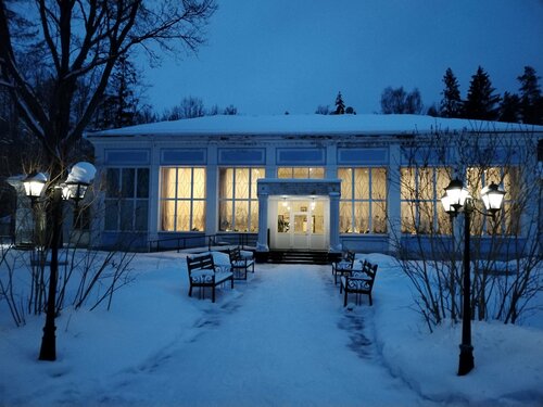 Beryozovaya Roscha Mini-Hotel, Rezervovat Mini-hotel Petrozavodsk Prionezhskiy District