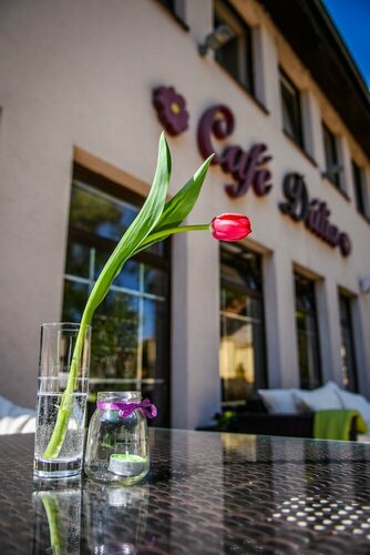 Eco friendly Hotel Dalia, Varaa Hotelli Košice Old Town 