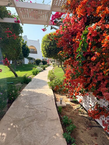 Hilton Marsa Alam Nubian Resort, Забронировать Курортный отель Отели Марса-эль-Алам с завтраком, Завтраки
