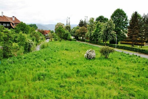 Zeilinger Schlössl, Rezervați Bed and Breakfast Hoteluri în Aichfeld cu mic dejun, Mic dejun