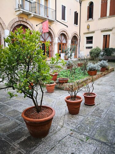 Domus Ciliota, Забронировать Отель Отели Венеции 3 звезды, рядом с Palazzo Franchetti, 3*