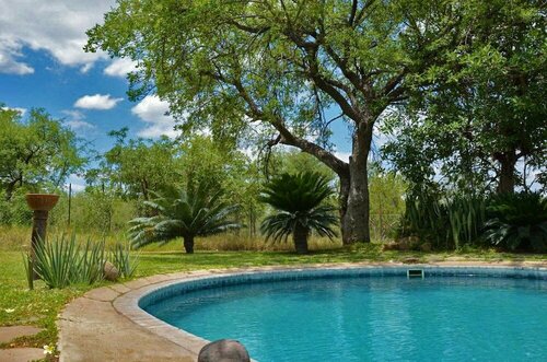 Tingala Lodge - Bed in the Bush, Prenota Lodge Hotel a Limpopo con piscina, Piscina