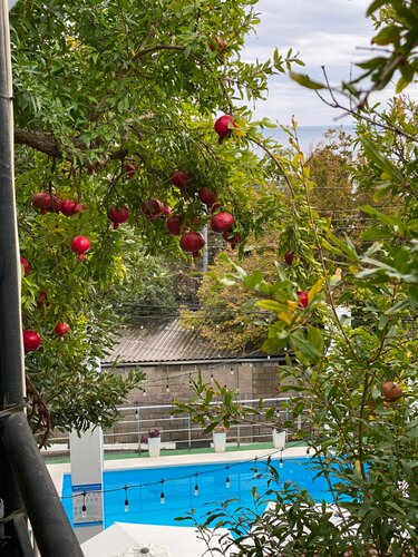 Капри, Забронировать Отель Симеиз Большая Ялта