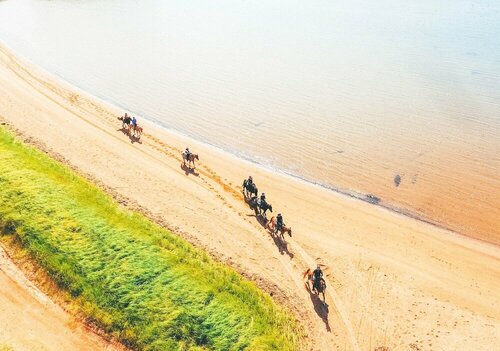 Rodd Brudenell River Resort, Забронировать Отель Отели Кардигана 4 звезды, 4*
