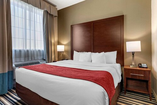 Comfort Suites Baylor North, 예약 호텔 웨이코 텍사스