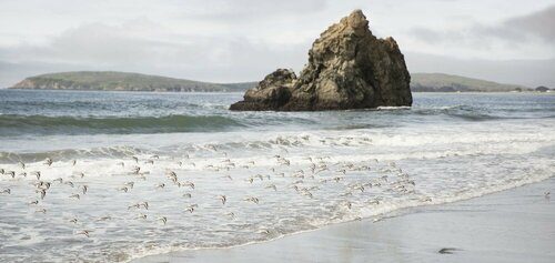The Lodge at Bodega Bay, Забронировать Отель Бодега Sonoma County