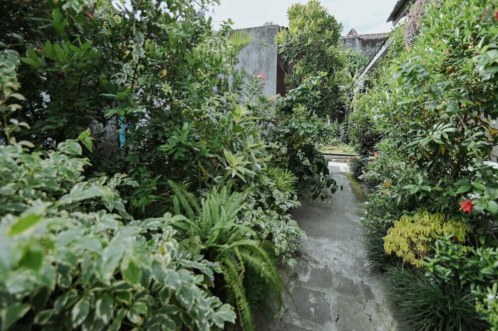 Snooze Guesthouse Yogyakarta - Hostel