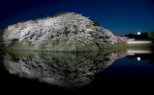Hikone Castle Resort & Spa, Reserva ahora Resort Hoteles SPA en Shiga, SPA