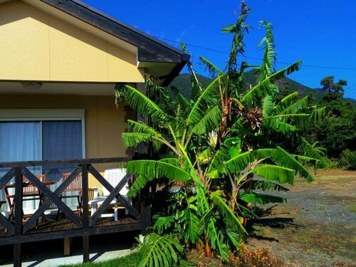 Yakushima Cottage Morino Fairy, Boek Vakantiehuis Yakushima Kagoshima
