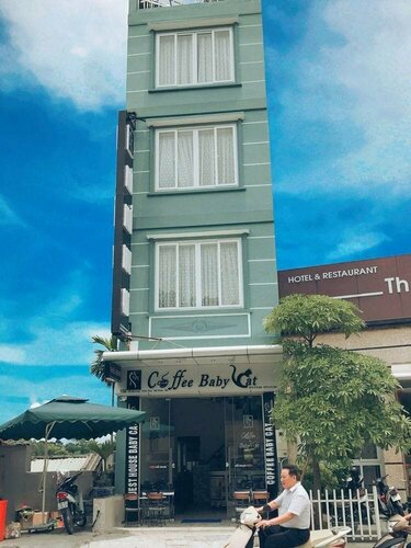 Babycat Guesthouse & Cafe, Забронировать Отель Халонг Бухта Халонг