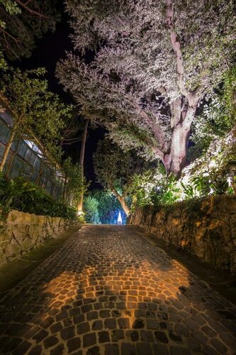 La Canonica dei Fiori