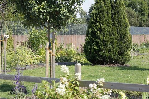 Landhotel Franck, Book Hotel Brietlingen Luneburg Heath