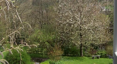 Penmachno Hall, Boek Hotel Hotels in Gwynedd met parkeren, Parkeren