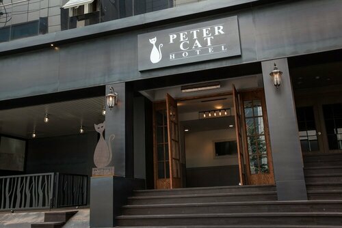 Petercat Hotel Sinchon Hongdae, Rezervovat Hotel Seodaemun-Gu Soul, blízko Charm &amp; Charm