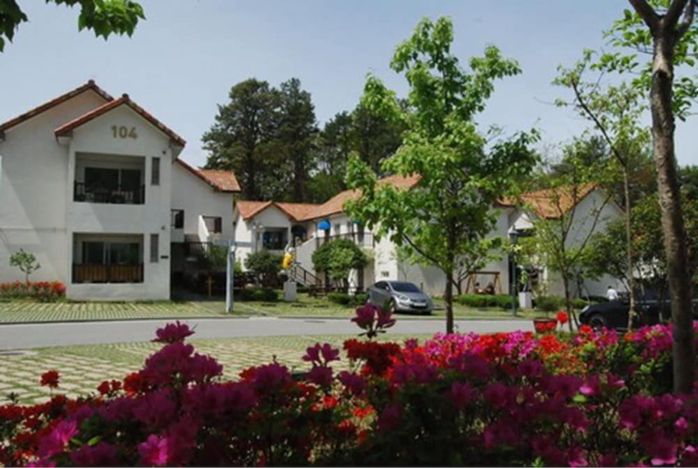 Meta Pension, DamYang
