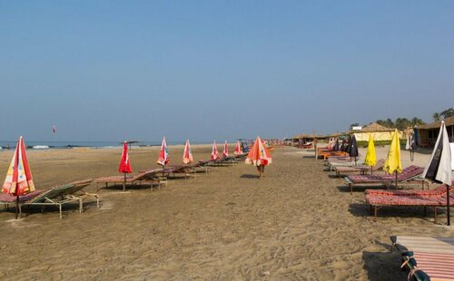 Mollys Nest, จอง โรงแรม Mandrem North Goa