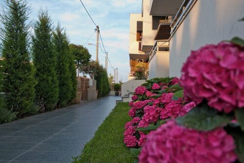 Chrysalis studios, Prenota Affittacamere Affittacamere a Macedonia, Affittacamere